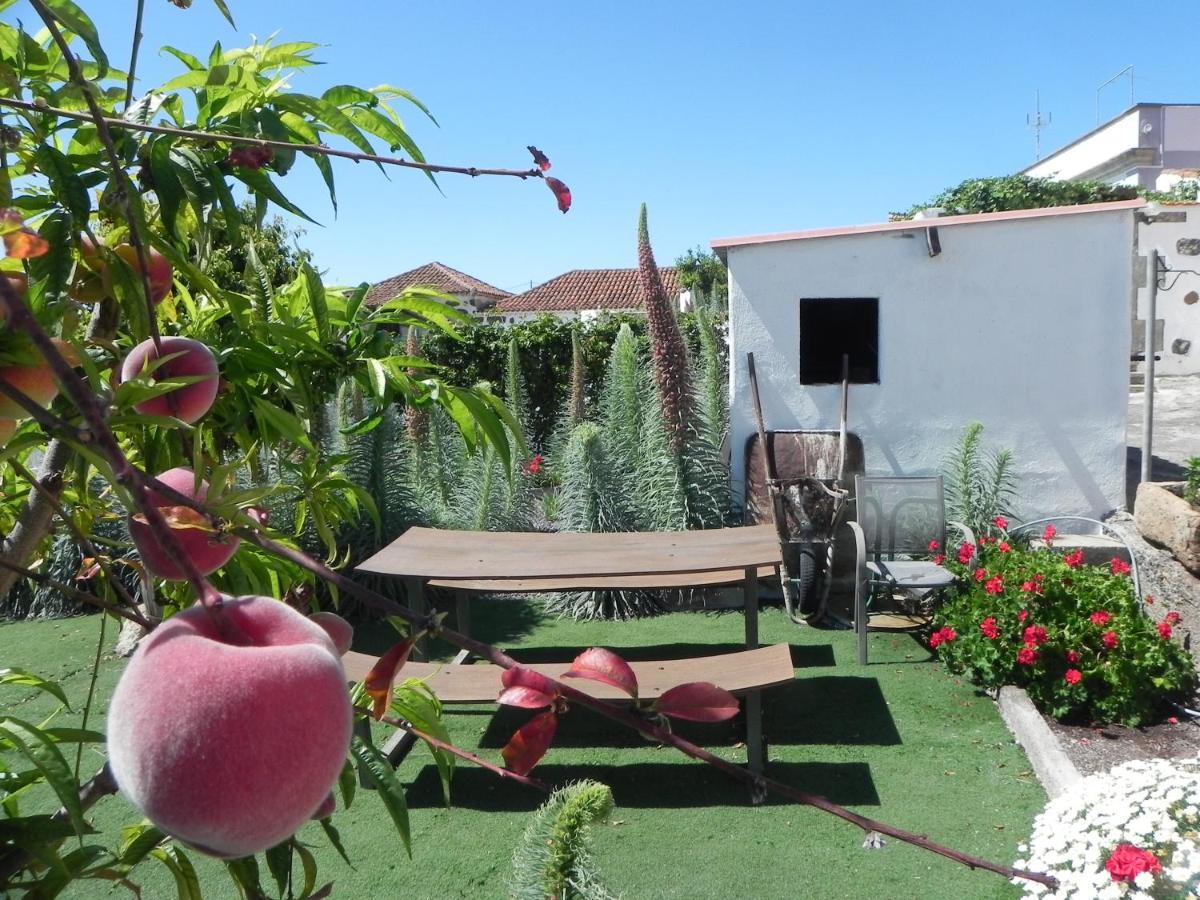 Casa Irma, Great Sea And Mountains Views, Rural House Villa Costa Adeje  Ngoại thất bức ảnh